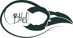 Logo BHel Atelier Aquarelle