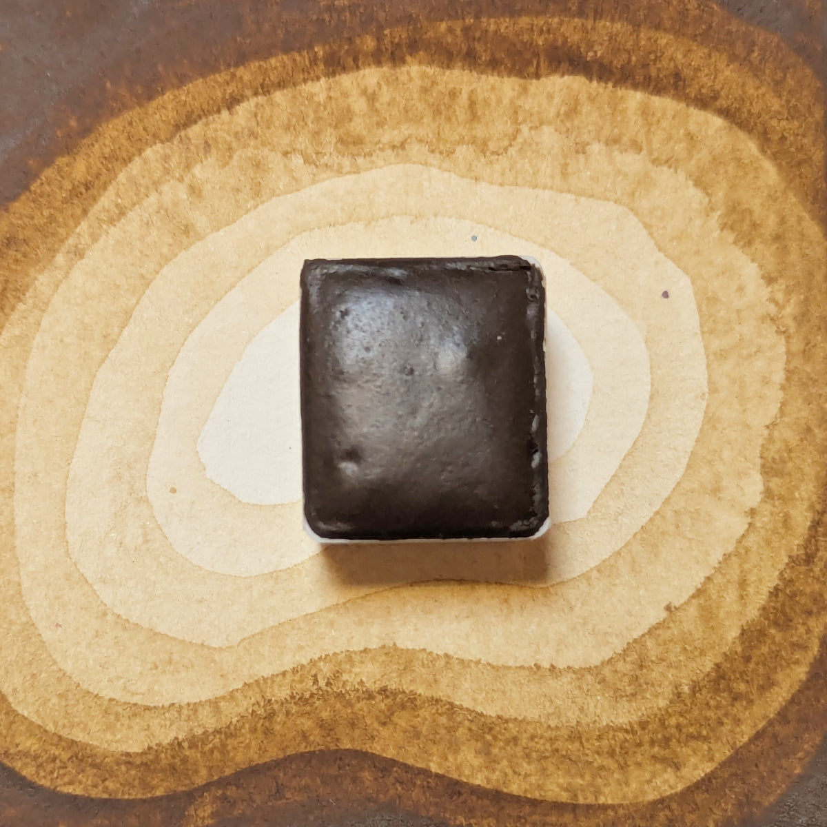 Brun Enchanté