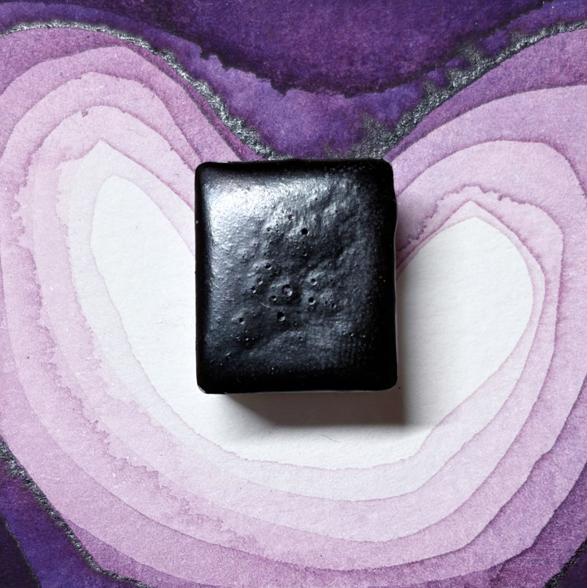 Iris violet