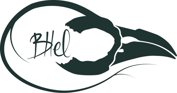 BHel Atelier
