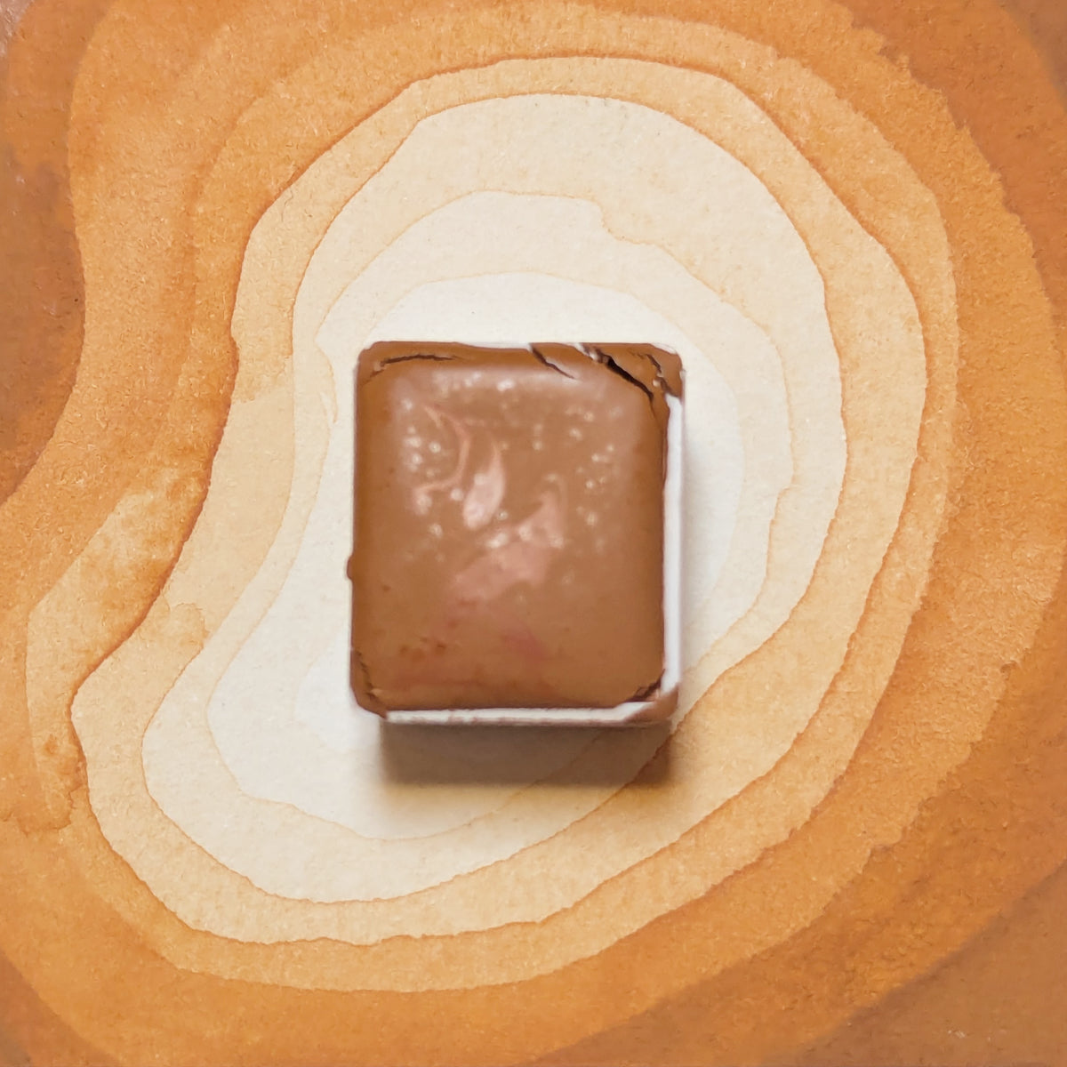 Miel de Potimarron
